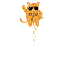 Cool Cat Birthday Ballon - 66 cm