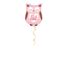 Eule Rosa Ballon - 66 cm