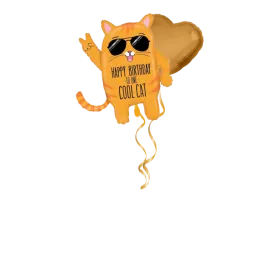 Cool Cat Birthday Ballon-Set