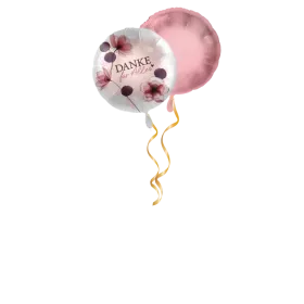 Danke für Alles Ballon-Set