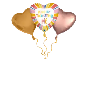 Thanks for tolerating me Ballon-Set 
