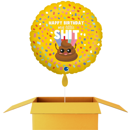Birthday little shit ballon - 46cm