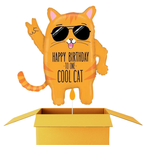 Cool Cat Birthday Ballon - 66 cm