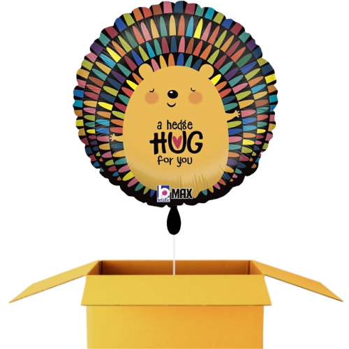 A Hedge Hug for you Ballon - 46cm